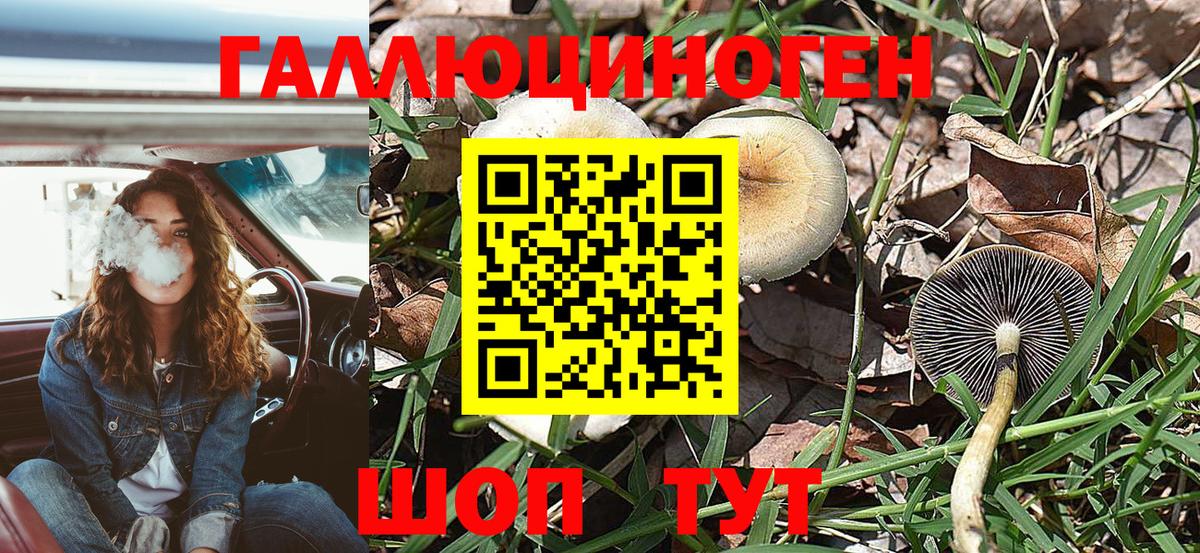 Галлюциногенные грибы GOLDEN TEACHER  Вход с VPN  Галлюциногенные грибы Cubensis  Арсеньев 