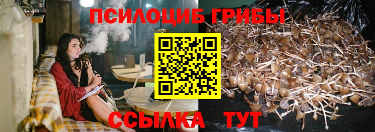 Галлюциногенные грибы MAGIC MUSHROOMS Арсеньев